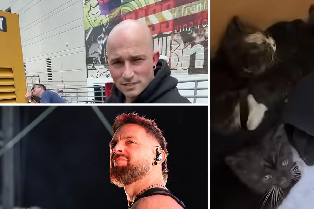 Watch Trivium + BFMV Save Abandoned Kittens From Diesel Generator