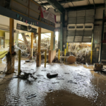 "The Flood: Music for MANNA" Is Asheville’s Powerful Musical Response to Hurricane Helene's Destruction