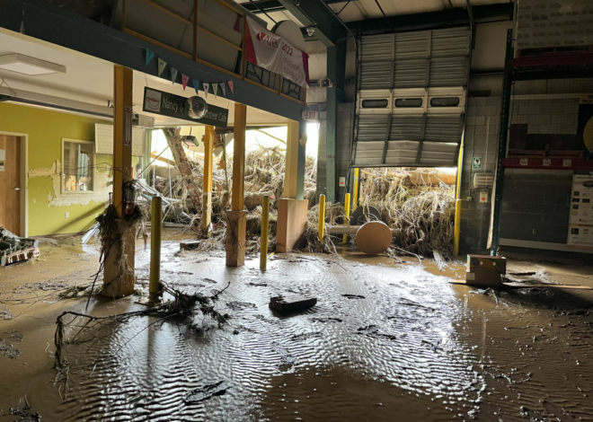 "The Flood: Music for MANNA" Is Asheville’s Powerful Musical Response to Hurricane Helene's Destruction