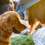 Ultra Unleashes Cutest Rave Yet With Pet Adoption Event at Longtime Festival Venue