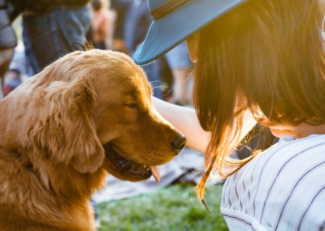Ultra Unleashes Cutest Rave Yet With Pet Adoption Event at Longtime Festival Venue
