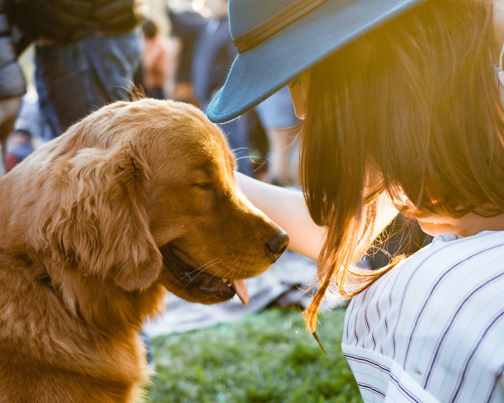 Ultra Unleashes Cutest Rave Yet With Pet Adoption Event at Longtime Festival Venue