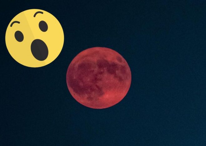 All About The ‘Ultra Rare’ Strawberry Moon and How to See It