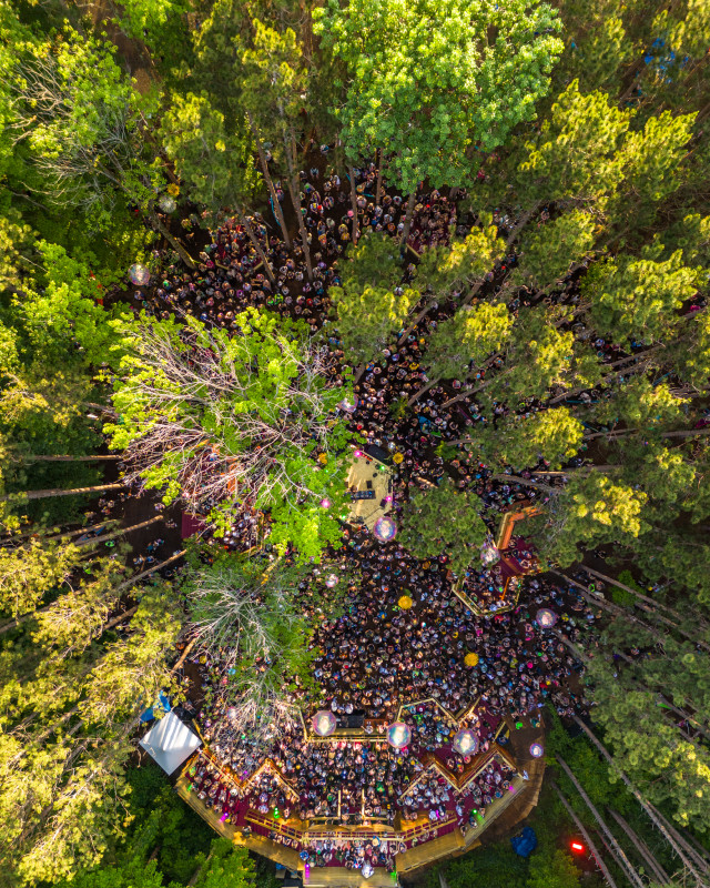 Inside the 2025 Electric Forest Festival, a Surreal Celebration of Fantasy and Found Family