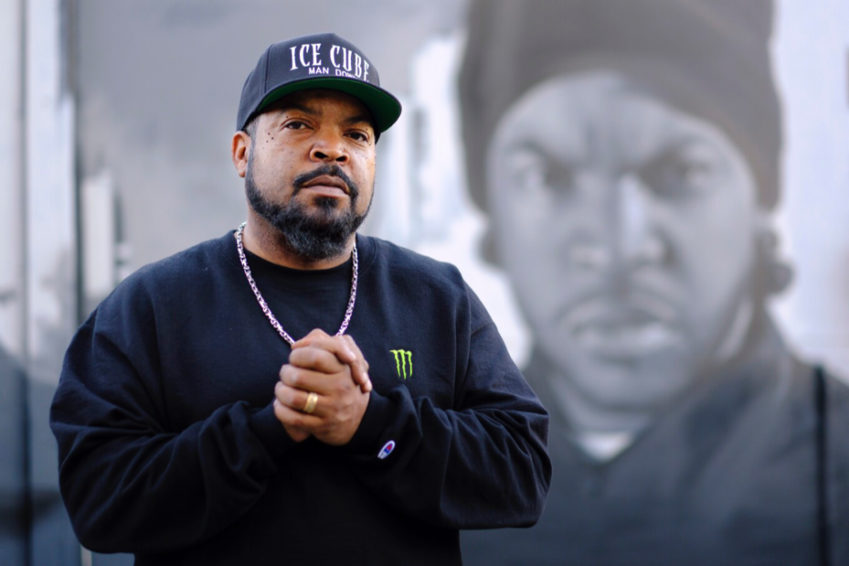 Ice Cube Says He Was Robbed By TSA—But He Scared Thief Into Honesty