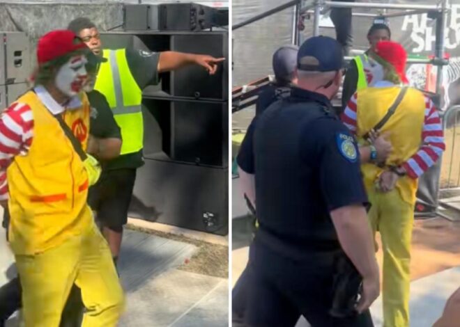 Man In Ronald McDonald Costume Allegedly Groped Fest Crowdsurfers