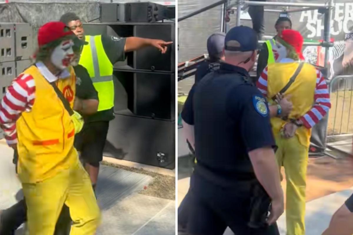 Man In Ronald McDonald Costume Allegedly Groped Fest Crowdsurfers