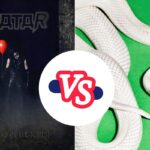 Better 2025 Album – ‘Don’t Go in the Forest’ vs. ‘private music’