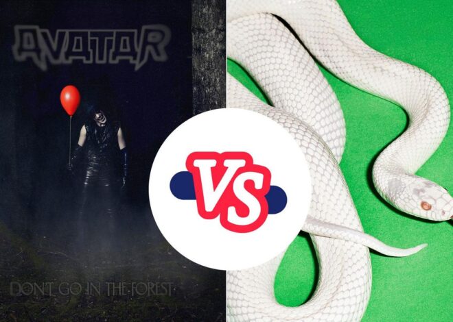 Better 2025 Album – ‘Don’t Go in the Forest’ vs. ‘private music’