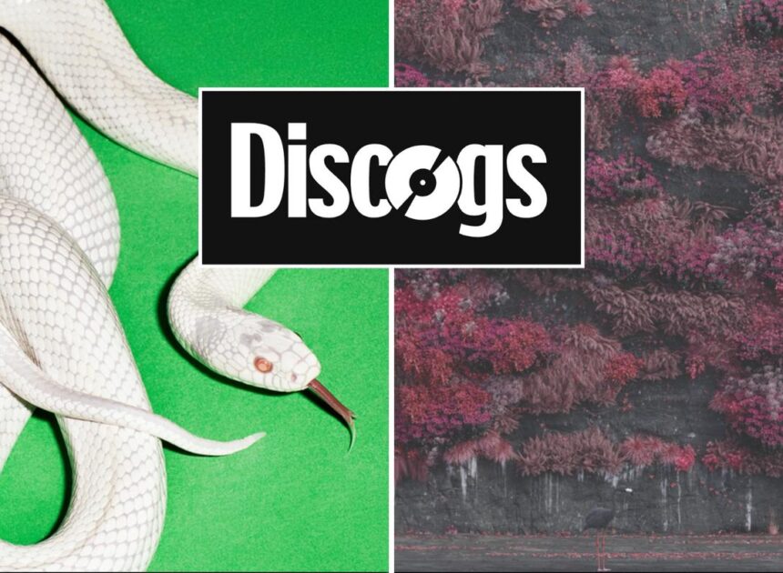 Most Collected Rock + Metal Albums on Vinyl in 2025